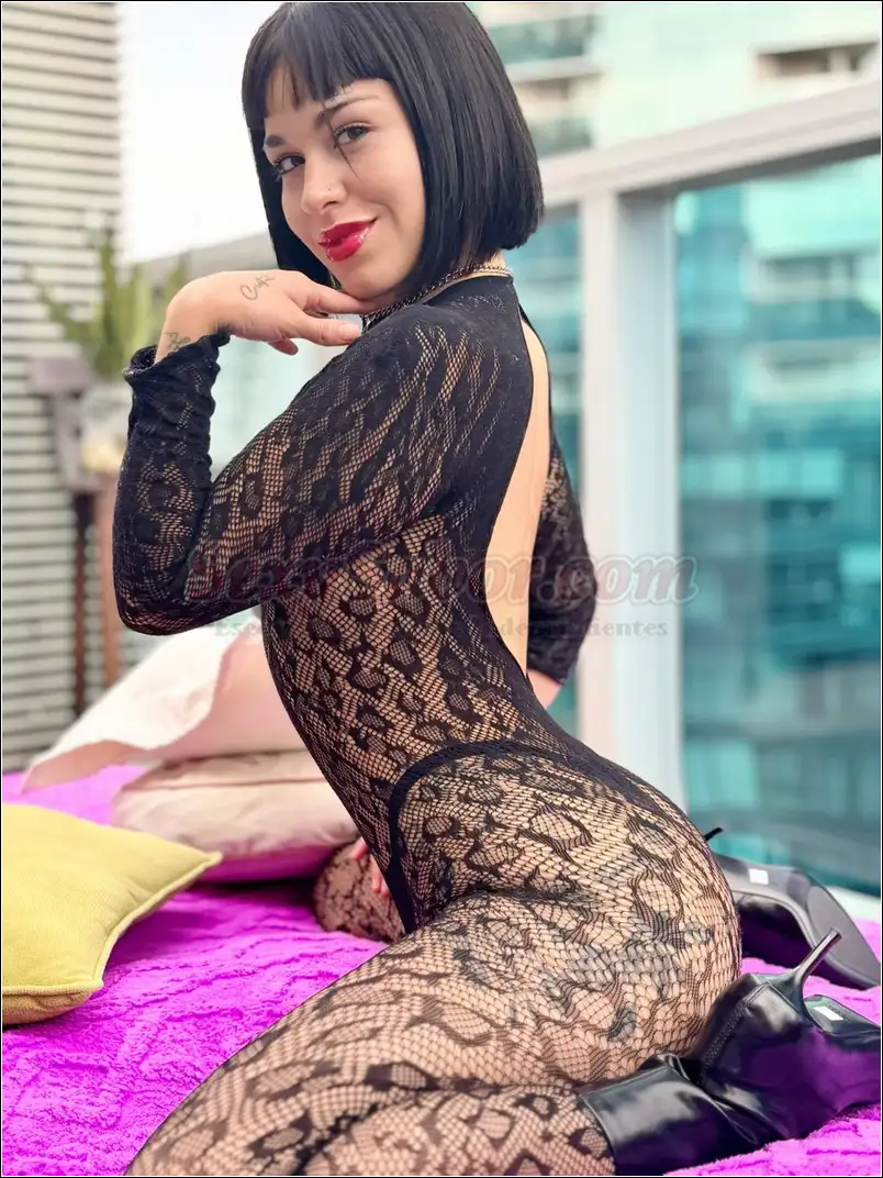 Aby BB 15-2550-0391