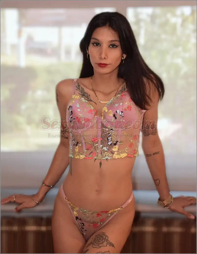 Aitana 15-3300-6519