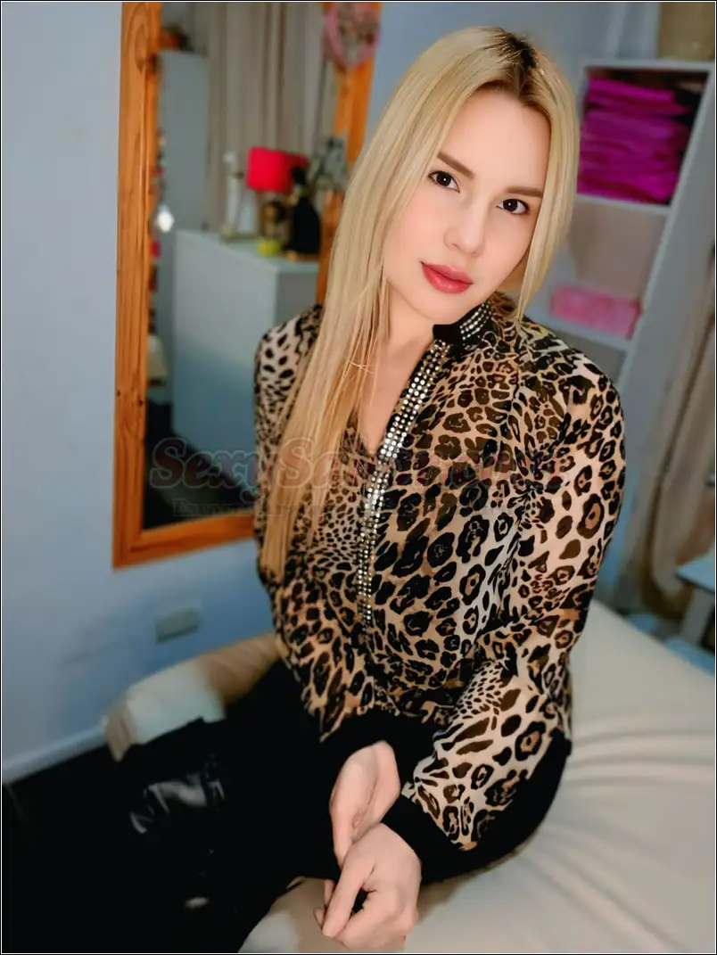 Cielo 15-3161-4528