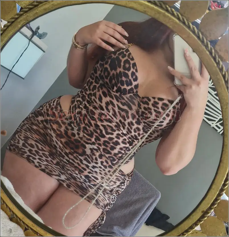 Lolita 15-3860-2487