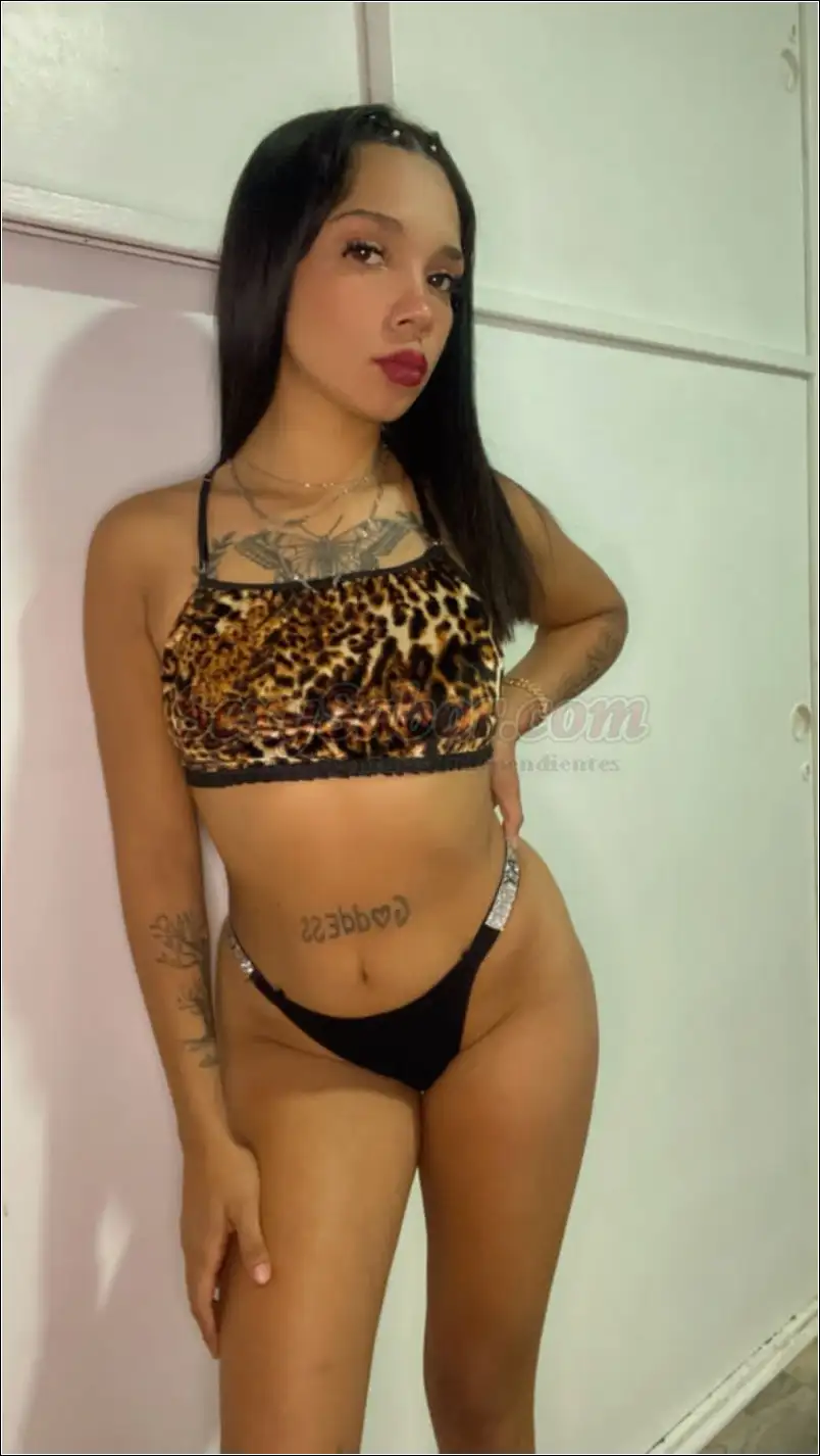 Lucia 15-2852-0423