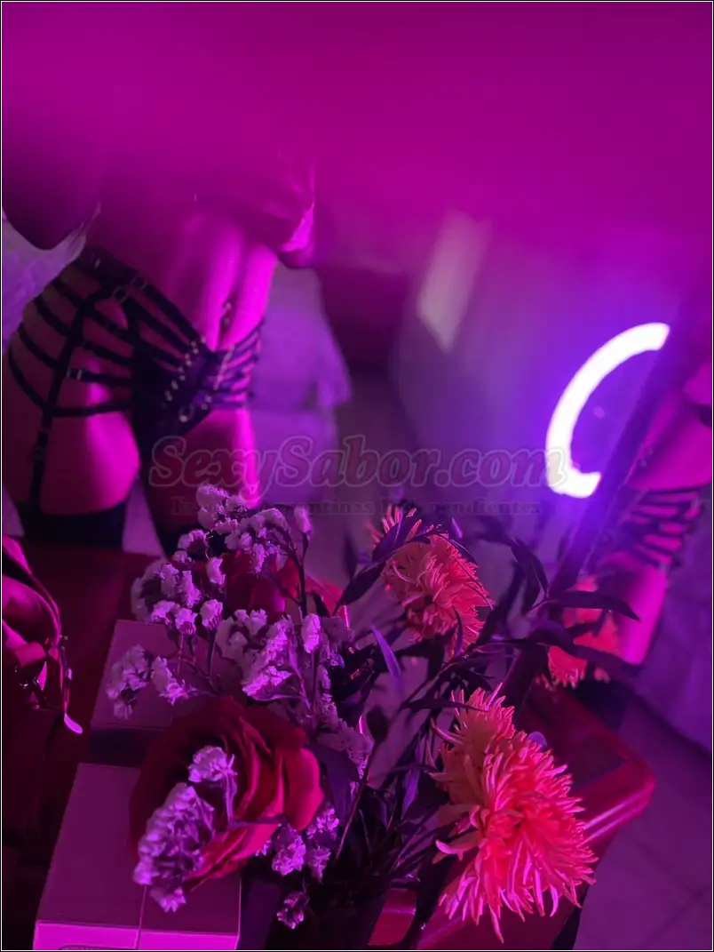 Seximorocha 15-3678-6373