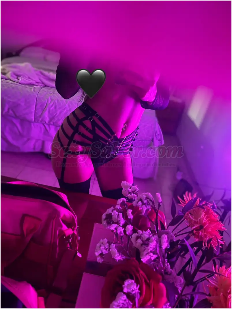 Seximorocha 15-3678-6373